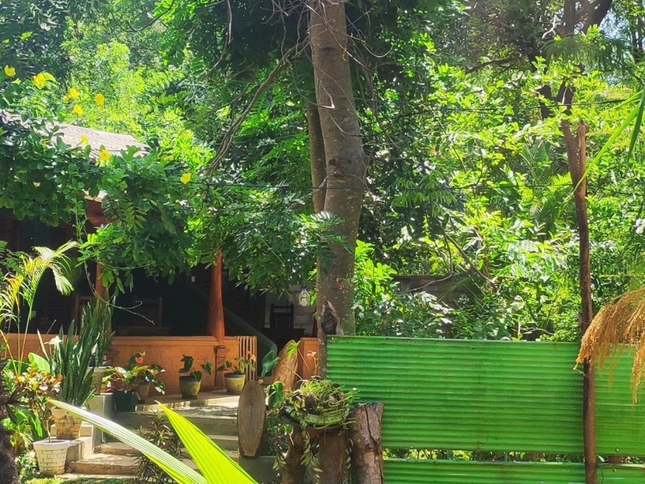 Jaana Guest Hotel Sigiriya Buitenkant foto